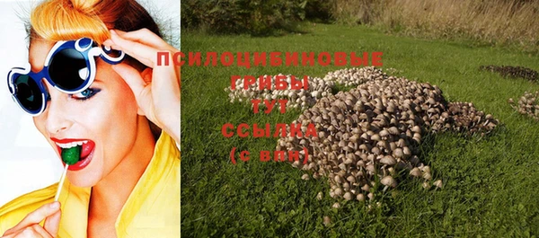 прущий лед Алексеевка