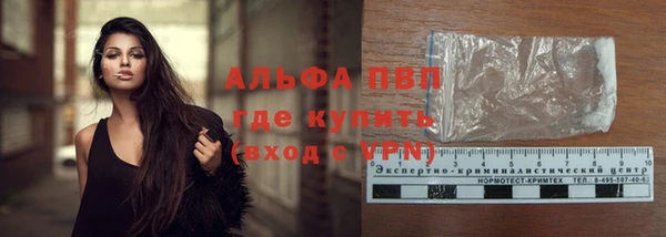 a pvp Алзамай