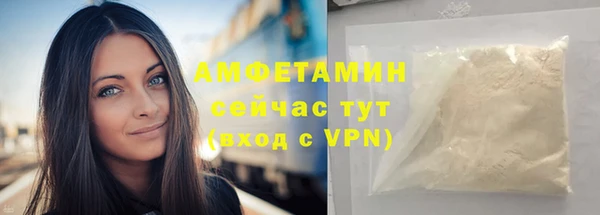 крисы Новозыбков