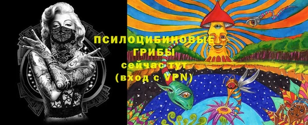 прущий лед Алексеевка