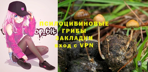 ALPHA PVP Алексин