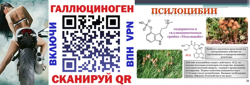 Псилоцибиновые грибы мухоморы  маркетплейс клад  Сураж 